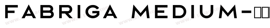 FABRIGA MEDIUM字体转换